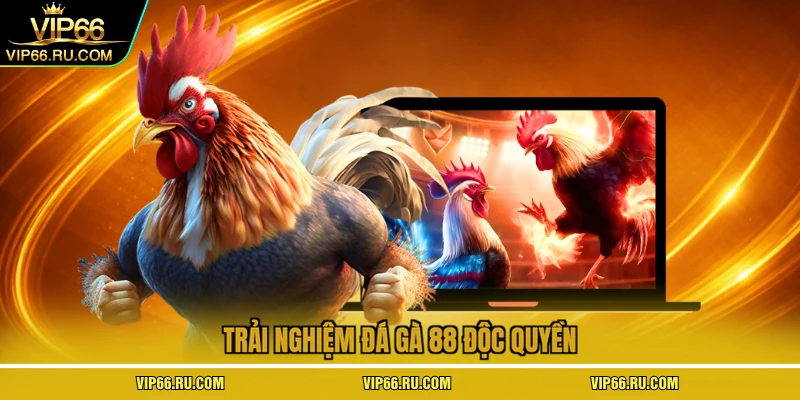 Trải nghiệm đá gà 88 độc quyền